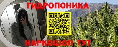 сатива Волжск