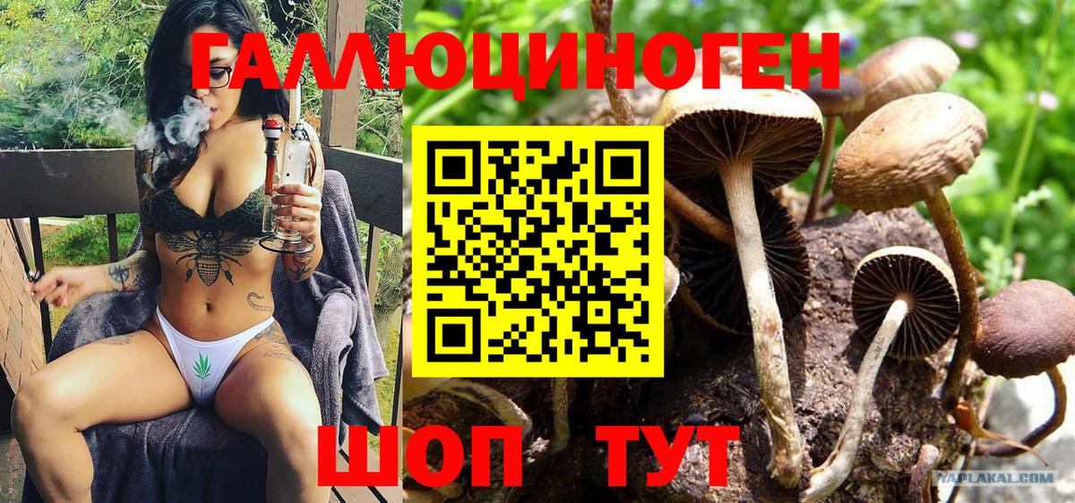 Псилоцибиновые грибы ЛСД Саров